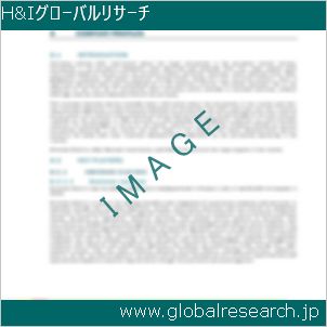 グローバルリサーチ調査レポートのイメージ